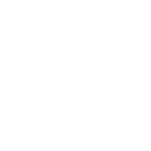 Peak Data Training